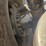 2019-kenworth-t880-image-100