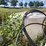 #2824-•-1500-gallon-poly-tank-with-stainless-steel-nitrogen-tank,-waterline-and-pvc-pipe-image-4