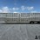 2009-eby-livestock-image-8