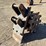 16"-twt-backhoe-compaction-wheel-image-3