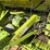 claas-variant-280-image-20
