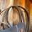 #7974-•-lot-of-wood-mizer-saw-mill-blades-image-6