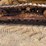 caterpillar-d4c-image-9