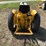 international-cub-lo-boy-image-6