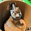 2019-brent-1596-image-13