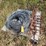 #2834-•-pallet-of-galvanized-fencing-wire-and-metal-stakes-image-1