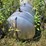 #2824-•-1500-gallon-poly-tank-with-stainless-steel-nitrogen-tank,-waterline-and-pvc-pipe-image-6