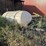 1000-gallon-sprayer-image-4