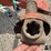hesston-5600-image-18