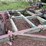 flex-king-200-18'-field-cultivator-image-4
