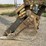 caterpillar-225-image-7
