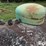 500-gal-propane-tank-image-9