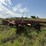 krause-2426-image-3