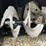 mtd-gold-28”-2-stage-snow-blower-image-10