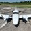 #1-•-2007-pa-23-250-piper-mosquito-control-plane-image-71
