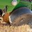 john-deere-1725-image-10