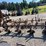 4-row-3pt-buster-with-gauge-wheels-image-2