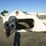 2003-landoll-t/a-equipment-trailer-image-8