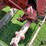 1944-farmall-a-2wd-tractor-w/belly-blade-image-17