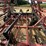 case-tigermate-200-field-cultivator-image-12