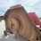 bush-hog-12715-image-19