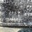 2009-bolster-magnolia-4-image-11