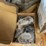 #10164-•-several-trowels-image-3