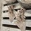 #2818-•-(3)-gauge-wheels-and-(4)-cultivator-sweeps-image-3