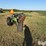 john-deere-2800-image-6