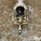 buhler-farm-king-1034-image-10