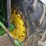 1981-john-deere-4040-image-19