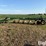 john-deere-2800-image-8