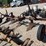 4-row-3pt-buster-with-gauge-wheels-image-5