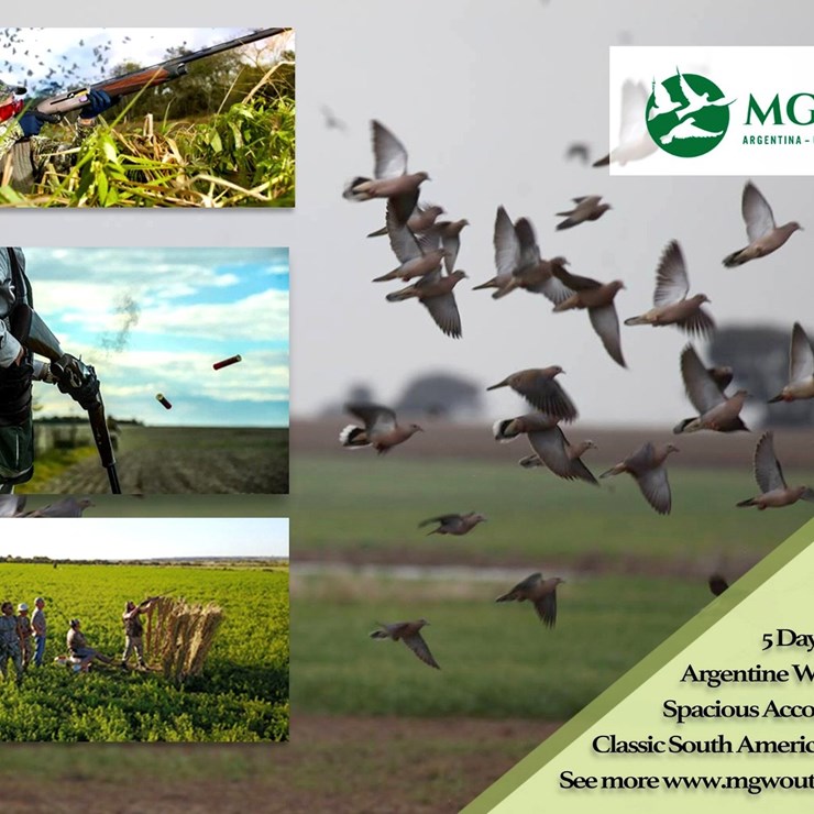 #50C • 5 PERSON | 5 NIGHT HUNTING TRIP | ARGENTINA or URUGUAY