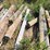#2830-•-(13)-reclaimed-wood-posts-and-timbers-with-flat-hose-image-5