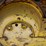 caterpillar-d6-image-20