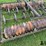 dunhan-co-cm76-culti-mulcher-image-16