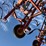 krause-5654-field-cultivator-image-16