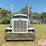 2017-peterbilt-389-image-2