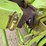 2003-claas-66-image-16