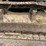 caterpillar-225-image-15