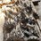 #2815-•-(16)-planter-row-cleaner-wheels-image-1