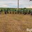 hawkins-cultivator-image-2