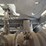 2022-xcmg-xc958u-image-57