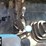 2000-ford-2000-image-24