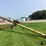 westfield-wr80-51-8"x51'-grain-auger-image-3