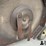 bush-hog-12615-image-19