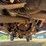 2007-ford-f250-image-12