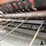 hesston-5600-image-16