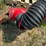 westfield-drill-fill-auger-image-10